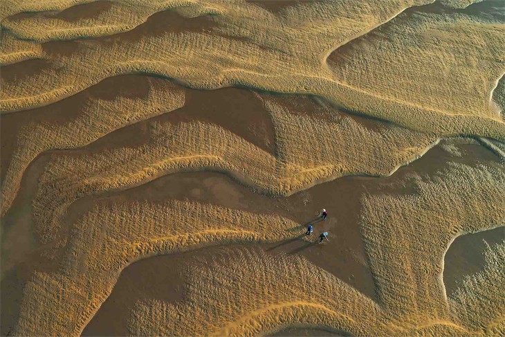 Nhiếp ảnh Việt Nam nhìn quá thấy đẹp nhưng mãi ở lối mòn - Ảnh 5. nhiếp ảnh Việt Nam - Ảnh 5.