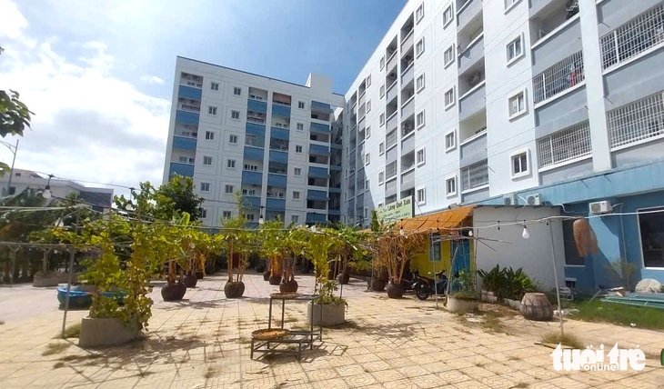 chung cư - Ảnh 1.