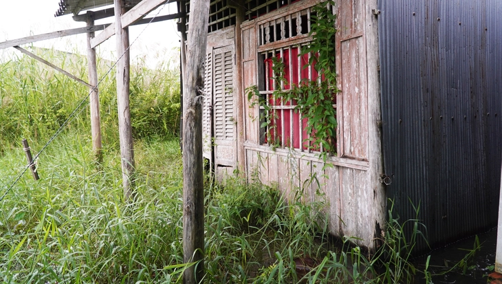 HỖ TRỢ - Ảnh 1.