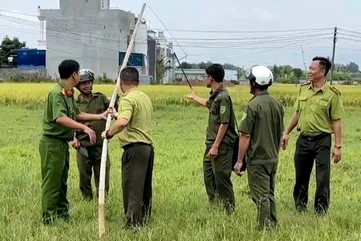 Kiểm lâm TP.HCM tháo gỡ 500m lưới giăng bẫy chim trời ở cù lao Thạnh Hội - Ảnh 1.