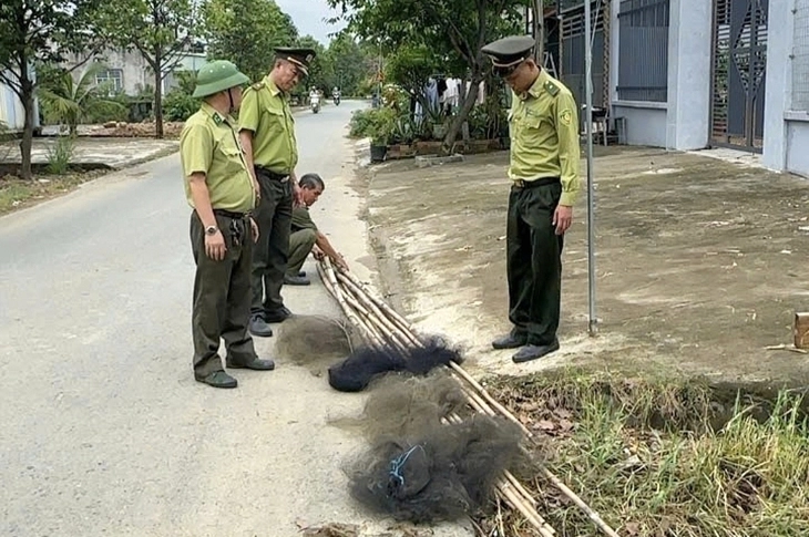bẫy chim - Ảnh 3.