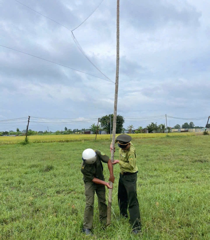 bẫy chim - Ảnh 2.