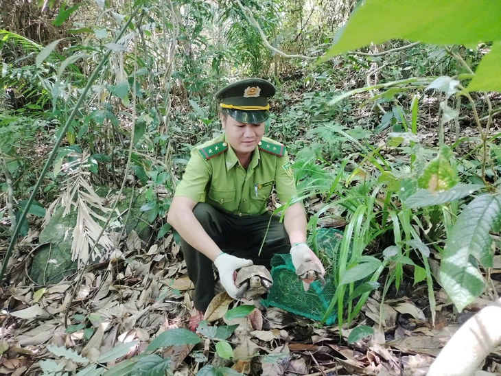 ឧទ្យានជាតិ Bach Ma ត្រូវបានទទួលស្គាល់ជាឧទ្យានបេតិកភណ្ឌអាស៊ាន - រូបថត ១.