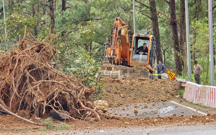 Khai mạc Lễ hội Trà Quốc tế 2025 tại Đà Lạt, đưa trà Việt vươn ra thế giới - Ảnh 6.