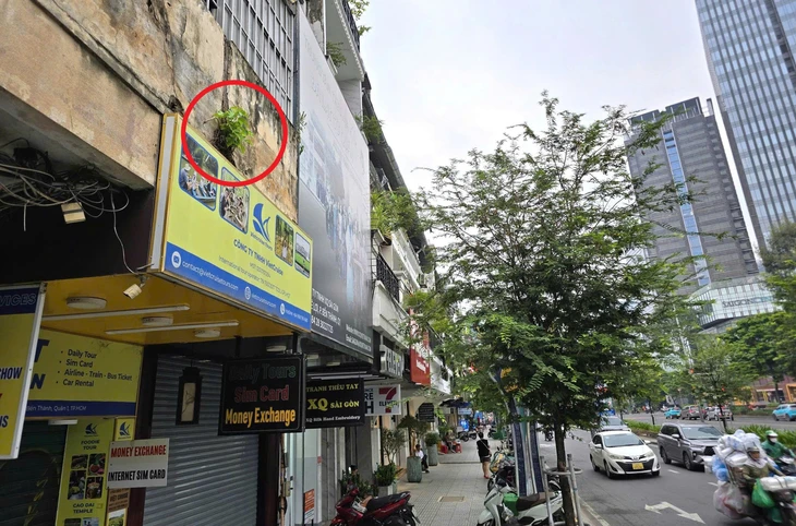 Nhìn hiện trạng đường Lê Lợi sẽ được 'làm đẹp' trước 31-12-2025 - Ảnh 5.