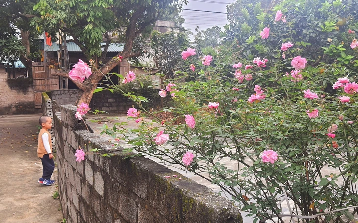 Chiếc ghế trống giữa mùa xuân - Ảnh 3.