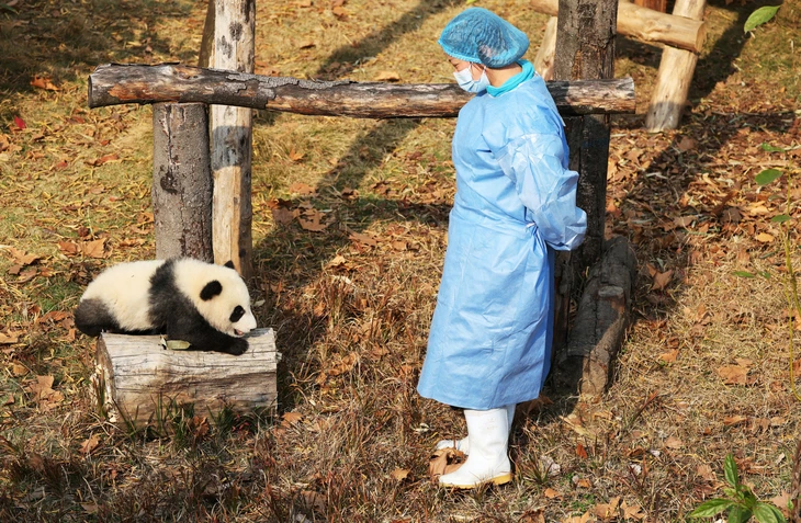 Tin tức thế giới 7-12 - Ảnh 1.