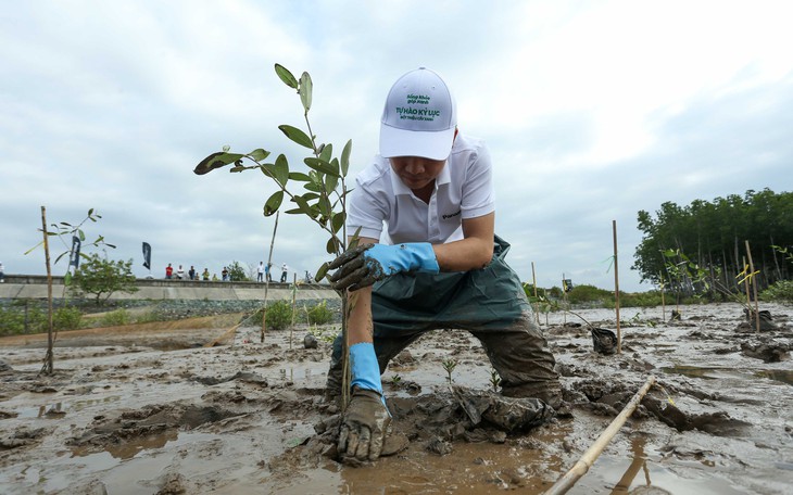 10 năm Thỏa thuận Paris: Thế giới đổi thay, mục tiêu khí hậu vẫn còn đó - Ảnh 2.
