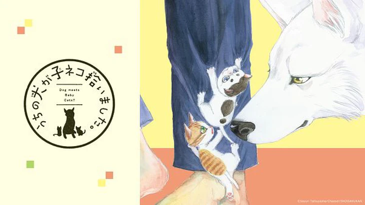 Dan Da Dan gặp khó tại giải thưởng manga lâu đời nhất Nhật Bản - Ảnh 3. Dan Da Dan - Ảnh 3.