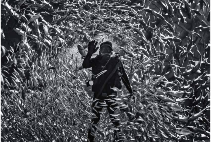 Nhiếp ảnh Việt Nam nhìn quá thấy đẹp nhưng mãi ở lối mòn - Ảnh 6. nhiếp ảnh Việt Nam - Ảnh 6.