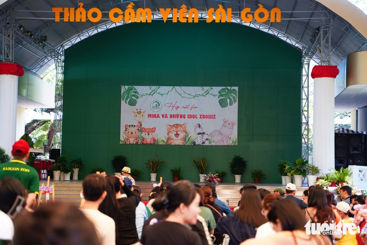 'Chủ tịch' Mika: Từ chú mèo hoang vươn mình thành 'chủ tịch' triệu fan - Ảnh 1.