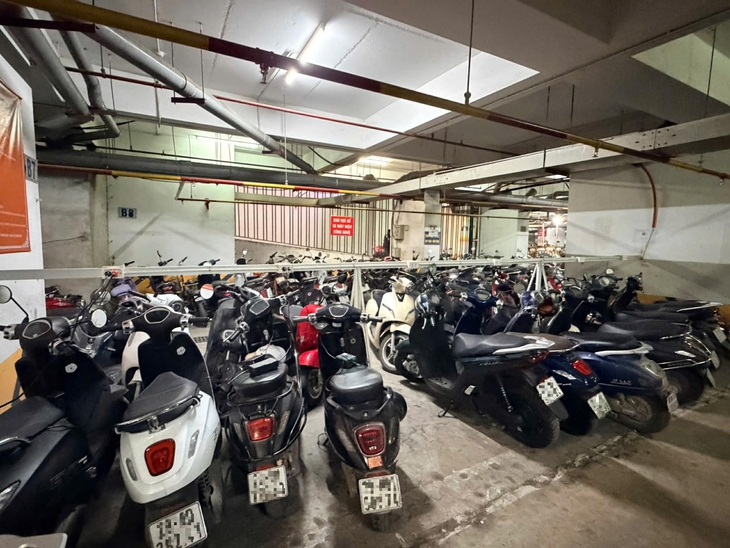 xe điện - Ảnh 1.