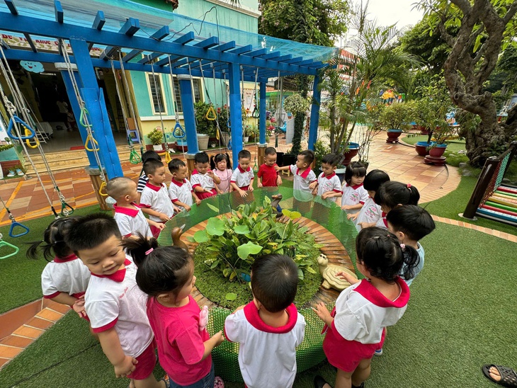 TP.HCM tăng kiểm soát bán hàng đa cấp; Đổi mới quản lý chất lượng giáo dục - Ảnh 1.