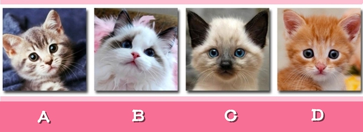 lòng thiên hạ - Ảnh 1.