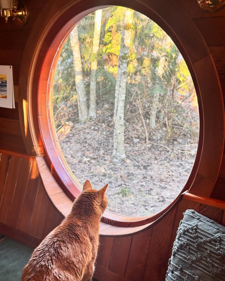 nhà di động - Ảnh 13.