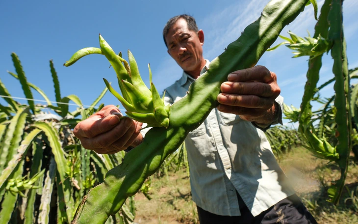 Dân thiệt hại nặng vì hồ xả lũ, công ty không có tiền đền - Ảnh 3.