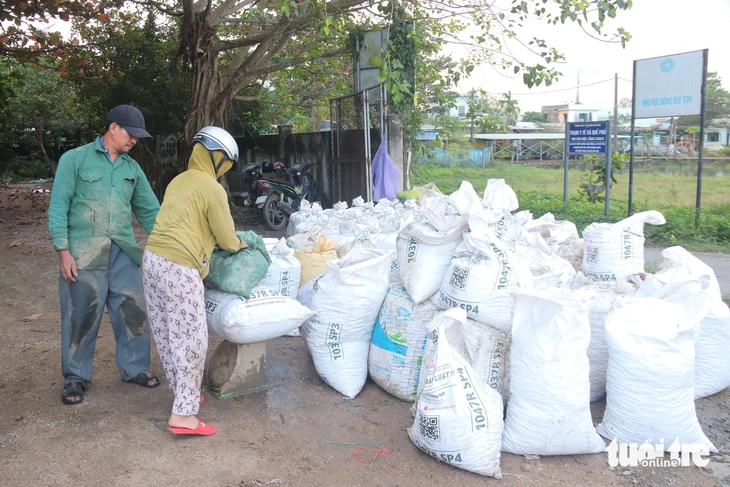 Người dân Đà Nẵng bắt cả tạ ốc bươu vàng, thu bộn tiền mỗi ngày - Ảnh 10.