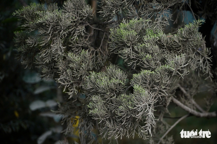 ô nhiễm không khí - Ảnh 8.