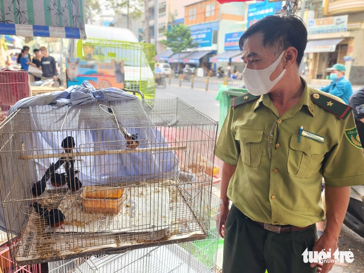 chim cảnh - Ảnh 2.