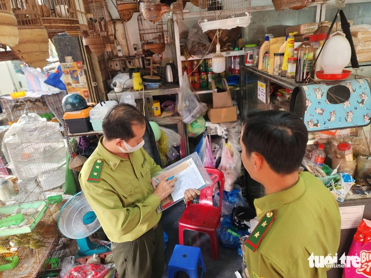 chim cảnh - Ảnh 6.