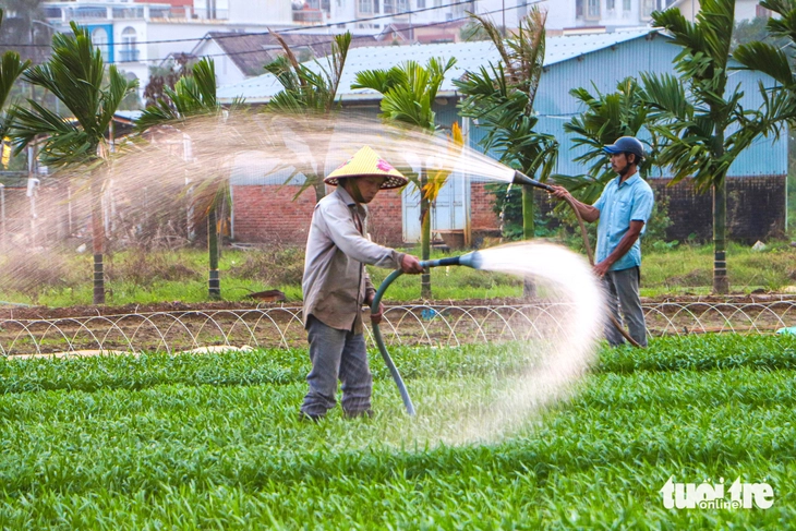 Đà Nẵng - Ảnh 5.