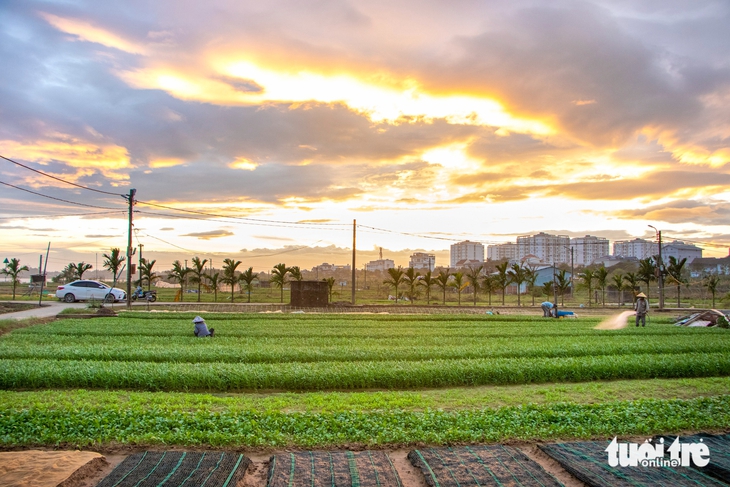 Đà Nẵng - Ảnh 7.