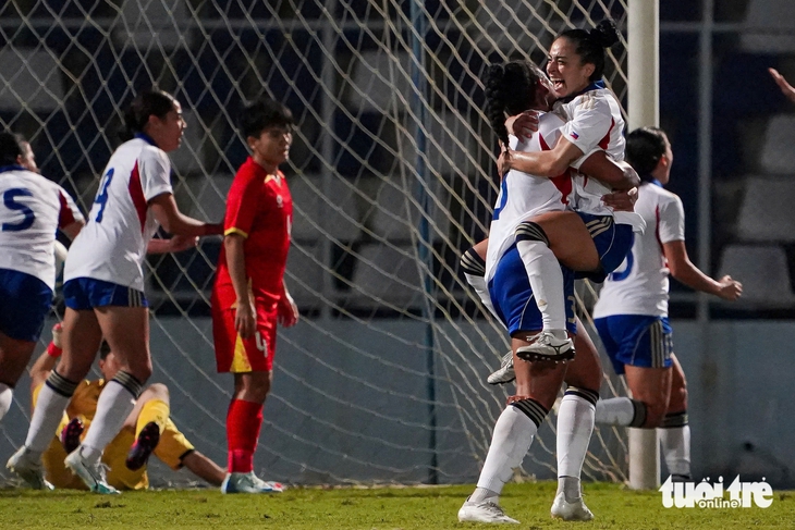 việt nam - Ảnh 2.