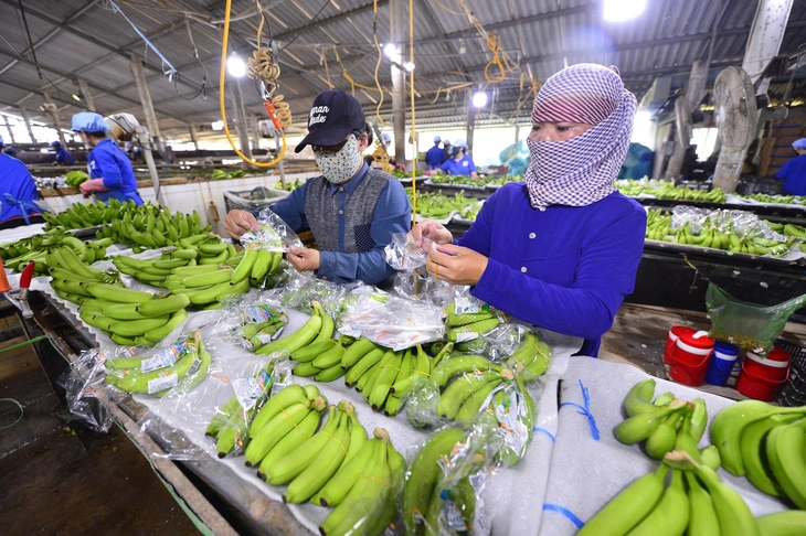 Tây Ninh - Ảnh 1.