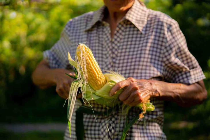 sỏi thận - Ảnh 1.