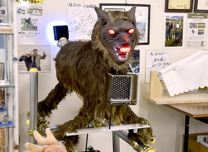 'Sói robot' đuổi gấu gây sốt tại Nhật Bản - Ảnh 1.