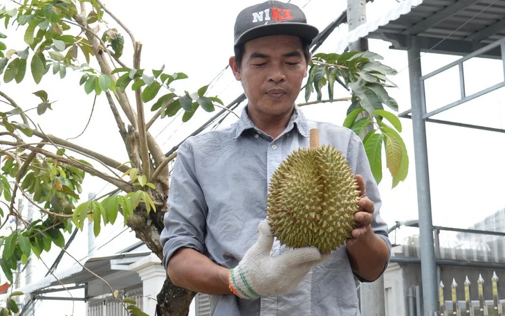 Sắp tới, nông sản chứa chất cấm như cadimi hay vàng O tiêu thụ tại Việt Nam sẽ bị xử lý - Ảnh 5.