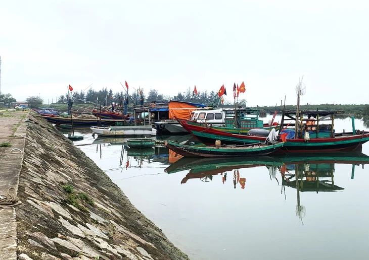 Bé trai 6 tuổi đến khu neo đậu tàu thuyền rồi bị mất tích - Ảnh 1.