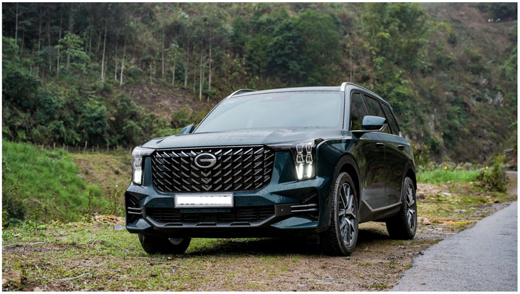 GAC việt nam - Ảnh 3.