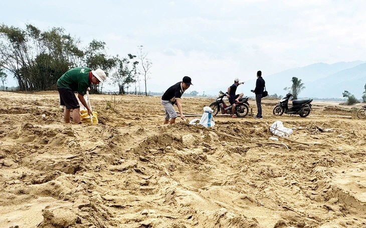 Ruộng đồng thành 'mỏ cát', nông dân mang xô đi gom về làng - Ảnh 1.