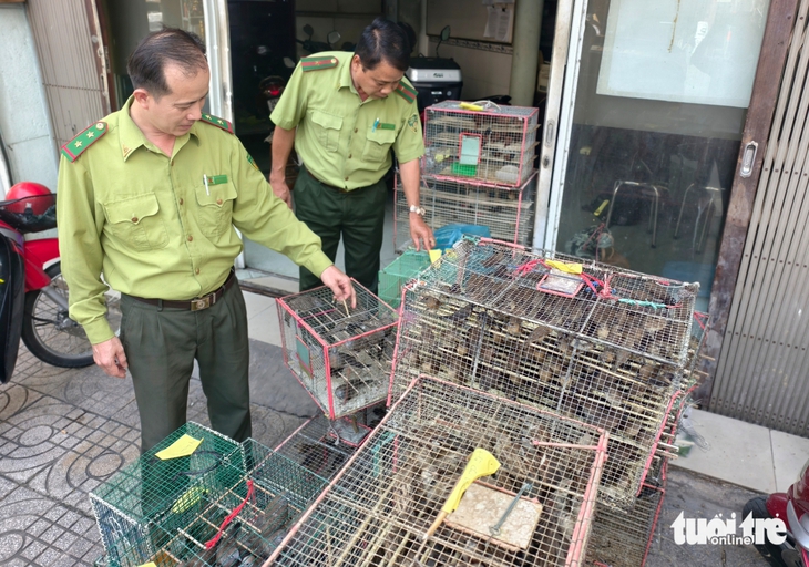 hợp pháp - Ảnh 1.