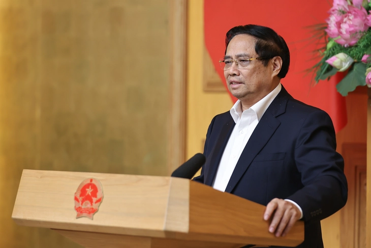 Long Thành - Ảnh 1.