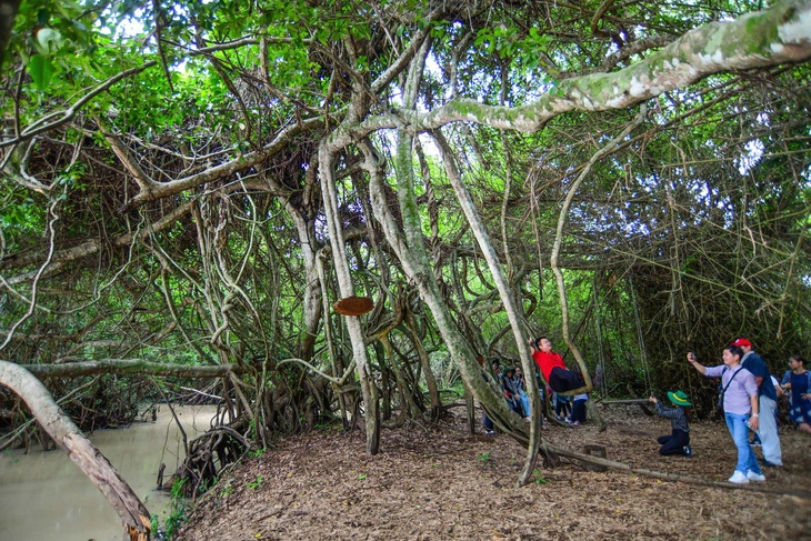 Tây Ninh mới: một trục, một dòng chảy - Ảnh 1.