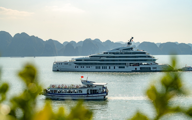 Quảng Ninh đón 2.400 du khách quốc tế đến ‘xông đất’ - Ảnh 6.