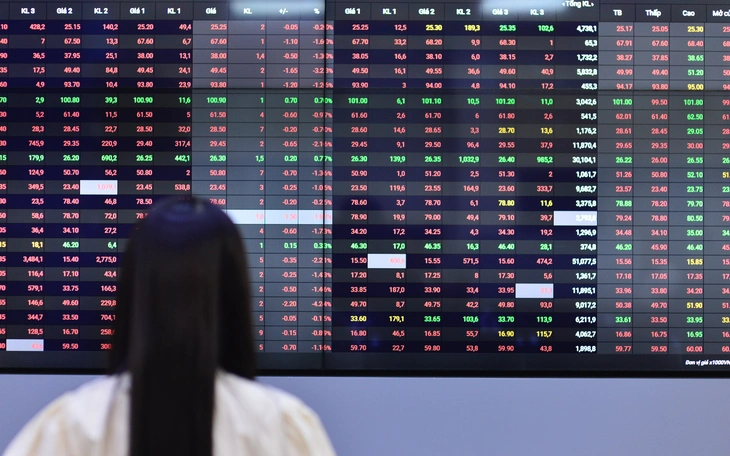 Nhà đầu tư sắp đón hàng tỷ cổ phiếu "tân binh" lên sàn HoSE - Ảnh 5.