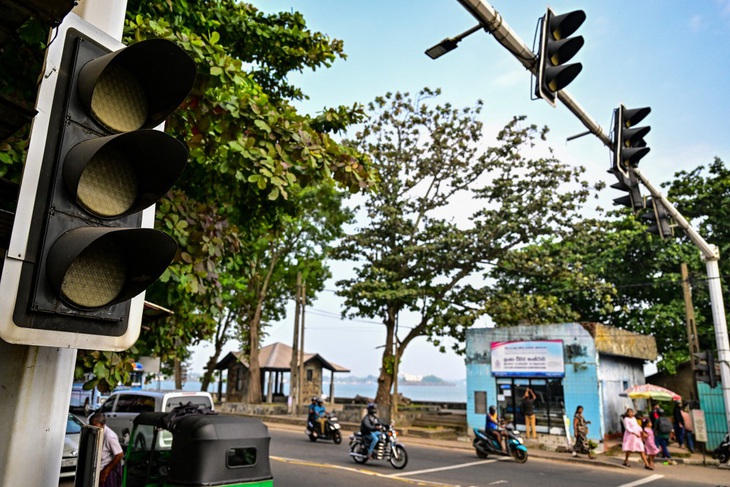 Tàu hỏa Sri Lanka trật bánh sau khi đâm trúng voi, sáu con voi thiệt mạng - Ảnh 2.