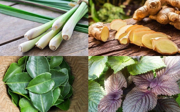 Có nên dùng rượu nóng pha mật ong để chữa cảm lạnh? - Ảnh 3.