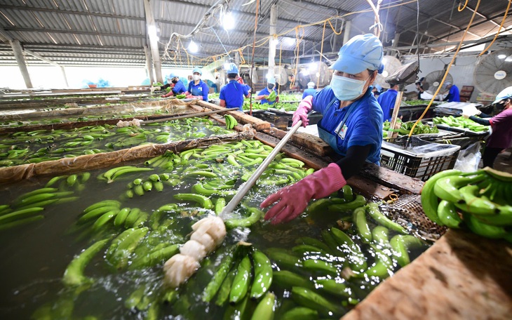 Vất vả tìm lại việc ở tuổi trung niên: Không bao giờ quá trễ để bắt đầu lại - Ảnh 2.