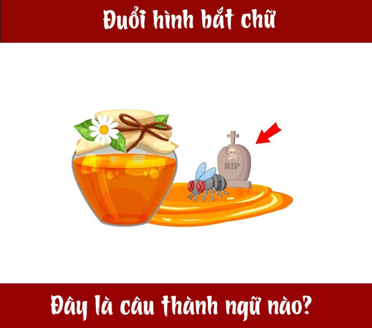 Câu tục ngữ, thành ngữ 'khó nhằn' này là gì? (P92) - Ảnh 1.