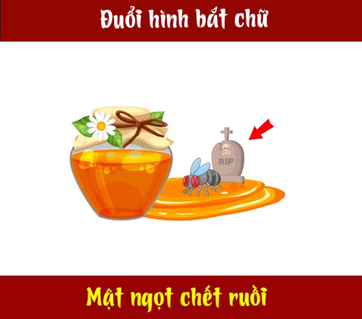 Câu tục ngữ, thành ngữ 'khó nhằn' này là gì? (P92) - Ảnh 1.