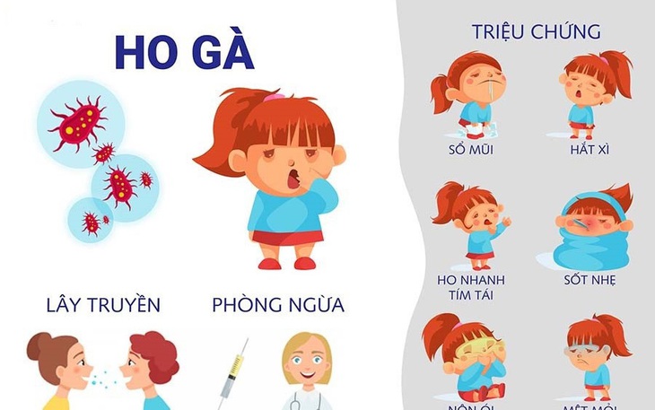 Làm sao nhận biết sớm bệnh ho gà? - Ảnh 2.