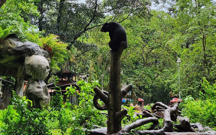 Thảo Cầm Viên báo lãi nhờ đón hơn 5.500 khách mỗi ngày - Ảnh 2.