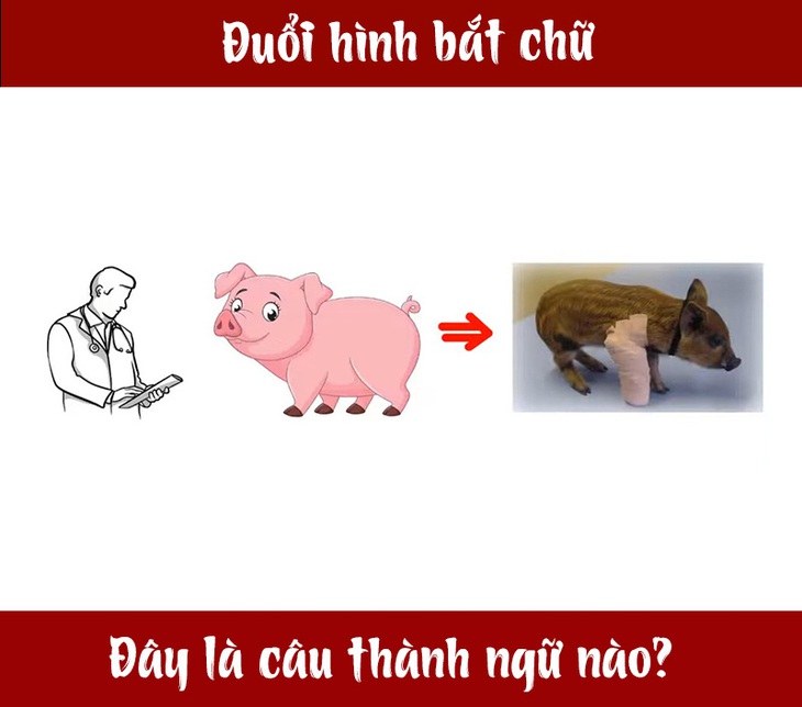 Câu tục ngữ, thành ngữ 'khó nhằn' này là gì? (P94) - Ảnh 1.