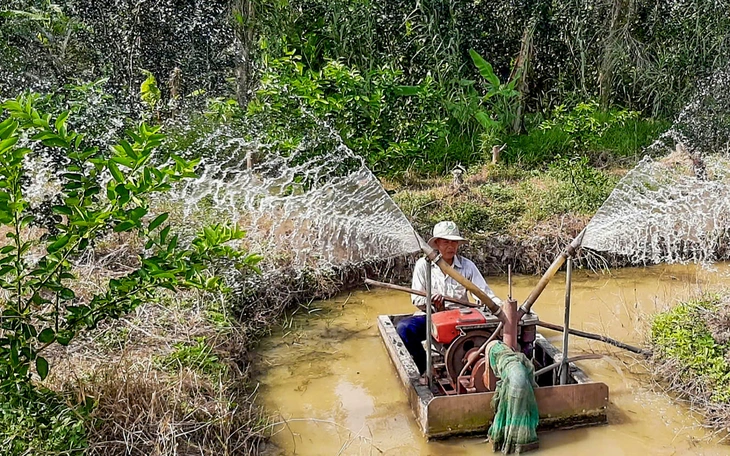 Miền tây đối mặt với đợt xâm nhập mặn sâu nhất từ đầu mùa khô - Ảnh 3.