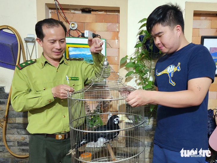 Phát hiện chim quý hiếm bay 'lạc' vào nhà dân ở Tân Bình - Ảnh 3.