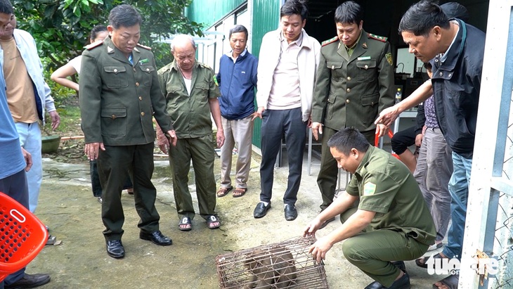 Bắt được 'ngộ không' quý hiếm dọa cắn trẻ em, quậy phá nhà dân sau 5 tháng mật phục - Ảnh 2.